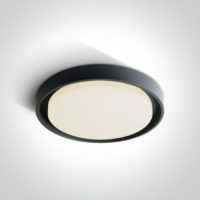 Plafonnier LED extérieur 30 W anthracite
