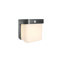 Applique murale LED 12 W avec détecteur de mouvement, anthracite, IP54