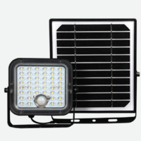 FLOOD SOLAR PRO 30W 4000K