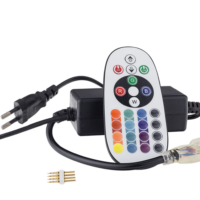LED Flex Neon 0.5M Power Cable + RGB Controller
