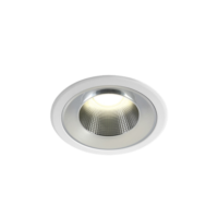 LED BLANCHE 10 W IP54 CW 230 V LUMIÈRE SOMBRE