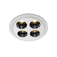 LED encastrée blanche 10 W WW IP20 38 degrés 230 V LUMIÈRE SOMBRE