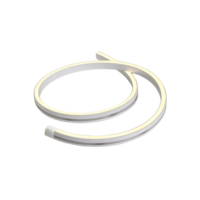 Néonflex linéaire 24V DC 5m IP66