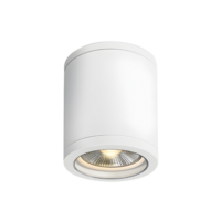 Plafonnier E27 PAR30 IP65 blanc pour lampe remplaceable