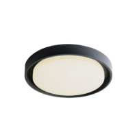 Plafonnier LED extérieur 30 W anthracite