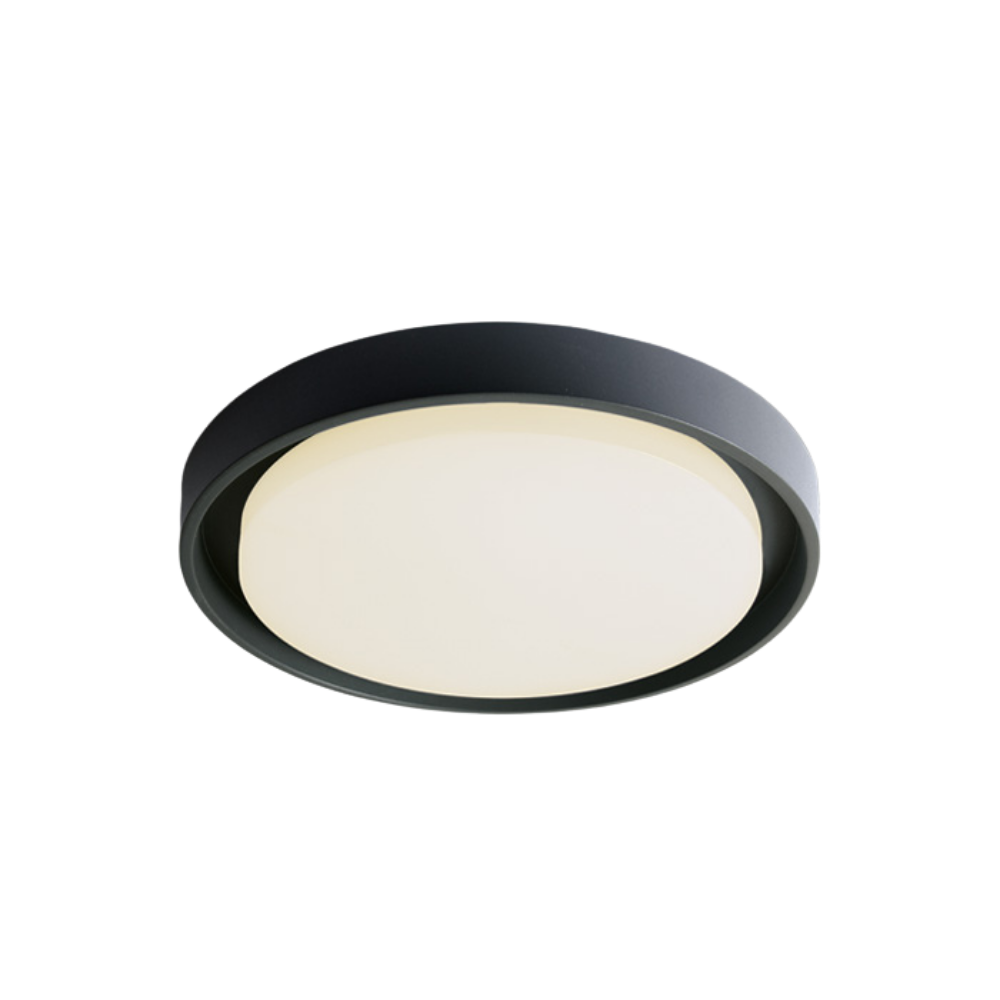 Plafonnier LED extérieur 30 W anthracite