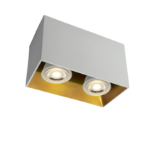 Plafonnier Décoratif GU10 2×10 W