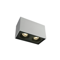 Plafonnier apparent orientable 2×10 W GU10 IP20