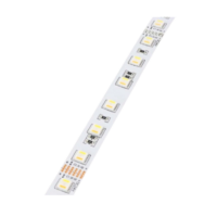 Bande LED RGB + WW + WH 9,5 W/m 5 m