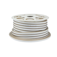 Néon Flex LED RGB 220 V