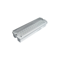 Luminaire de secours LED mural/plafonnier 5 W blanc IP65