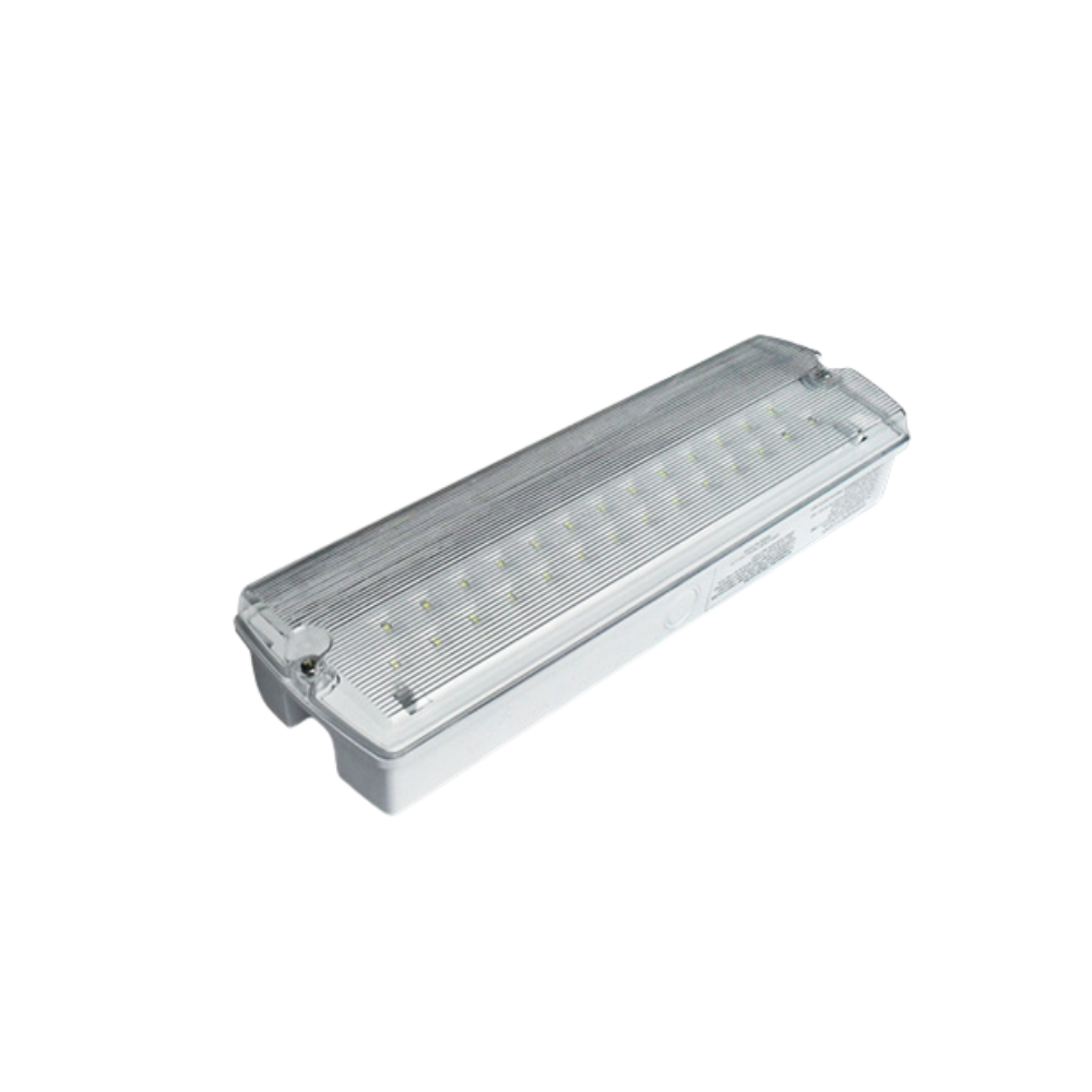 Luminaire de secours LED mural/plafonnier 5 W blanc IP65