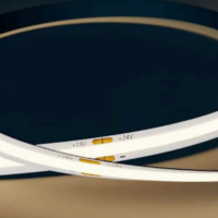 Linéa Shine - Bande LED