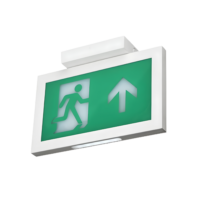 Emergency Exit: Double Face