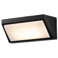 Lumeneal