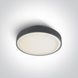 Plafonnier LED 24 W anthracite IP65