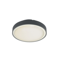 24 W LED ceiling light anthracite IP65