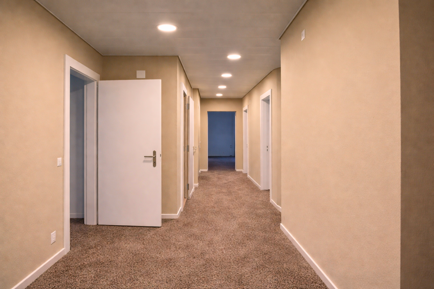 Éclairage professionnel pour bureaux d’avocats à Lausanne 2