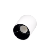 Willumi
