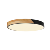 Decorative Ceiling Light 48 W IP20