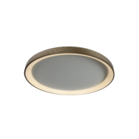 Decorative Ceiling Light 48 W IP20