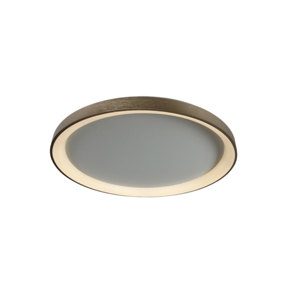 Decorative Ceiling Light 48 W IP20