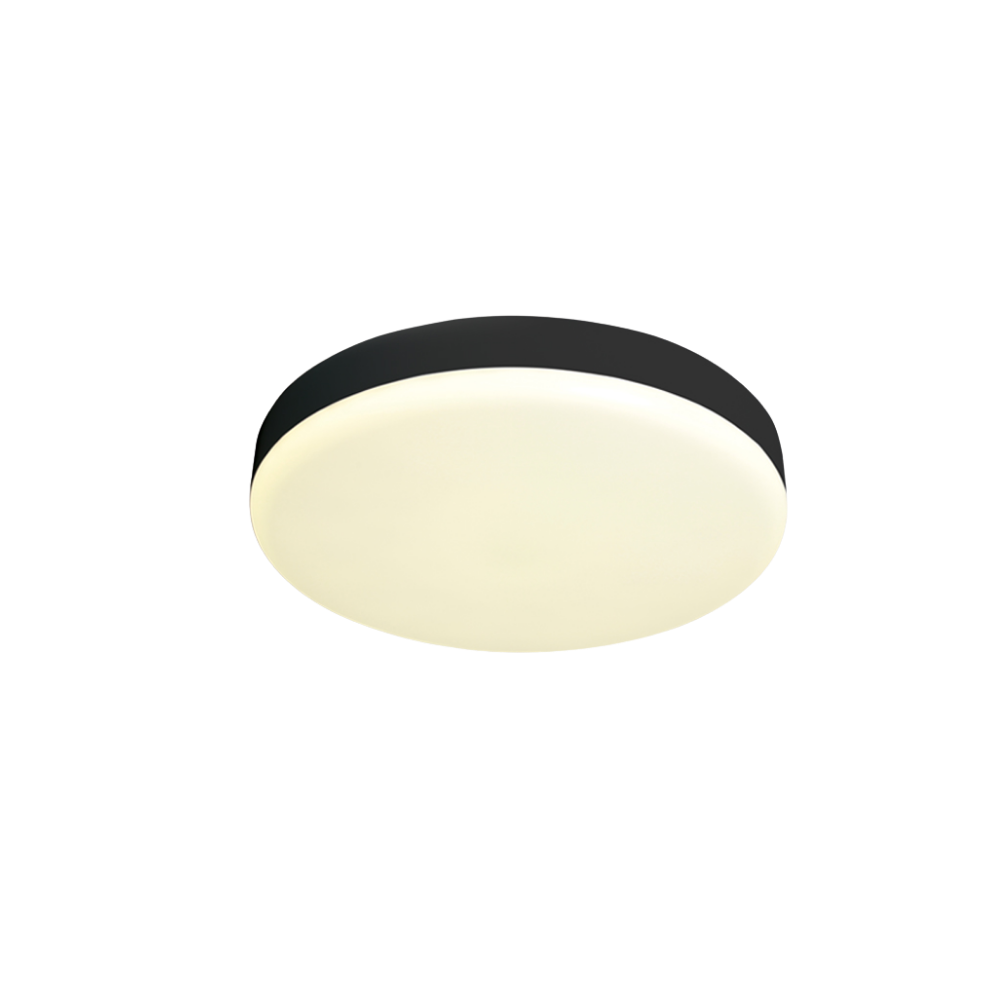 LED Ceiling Light 35 W IP65
