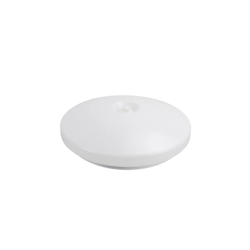 Ceiling Light with PIR Sensor, 2 × E27, IP20